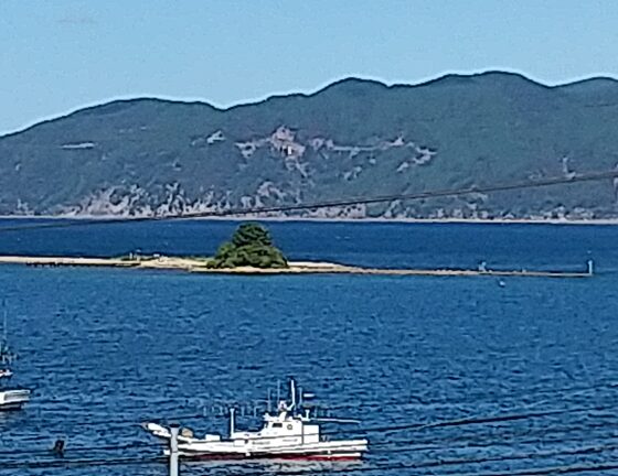 水島