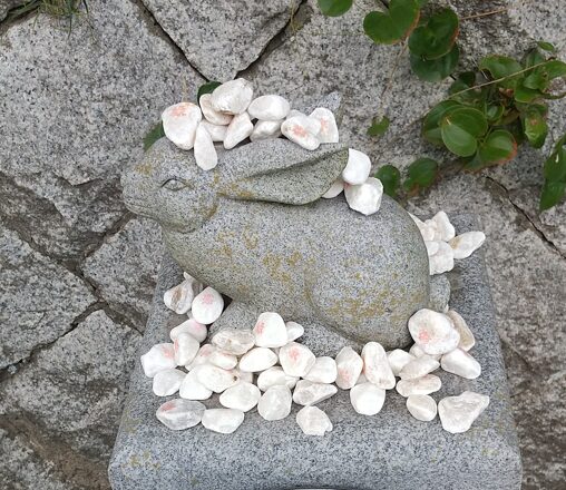 白兎神社のうさぎ