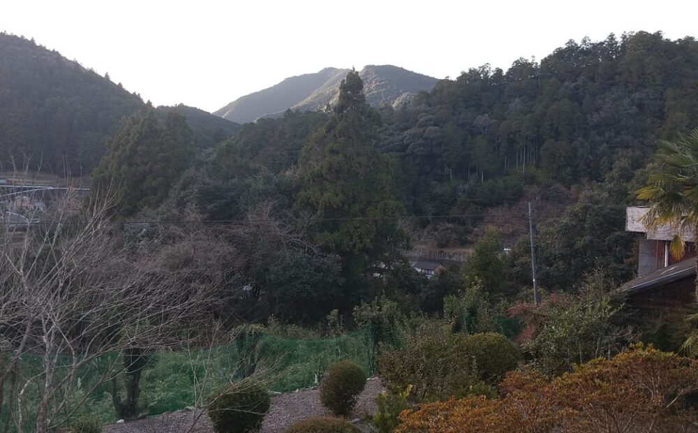 湯の峯荘　里山