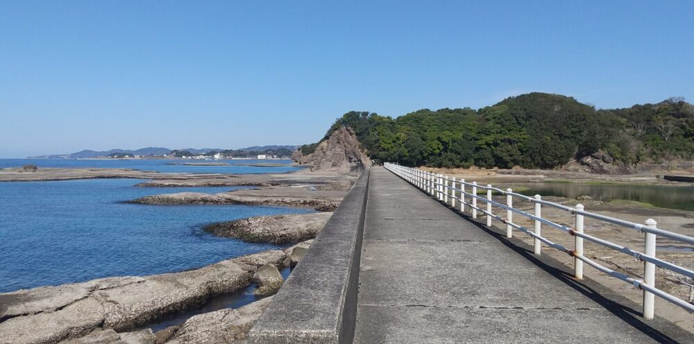 カニくん歩きロード