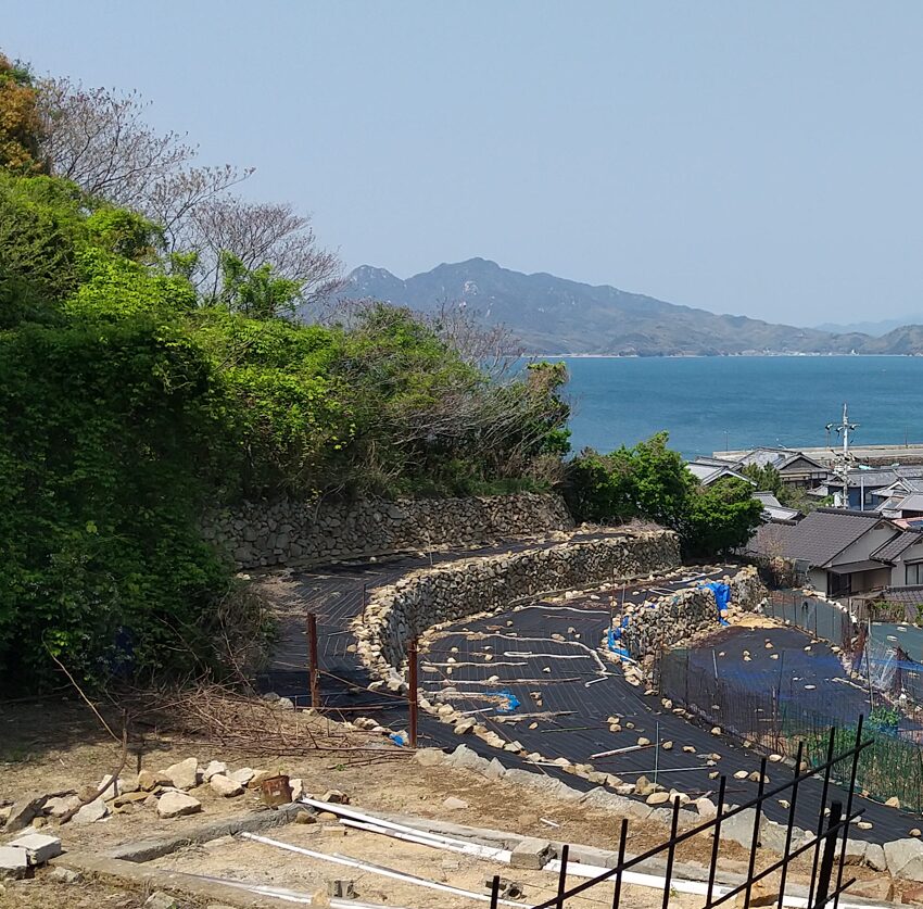 鹿島の段々畑