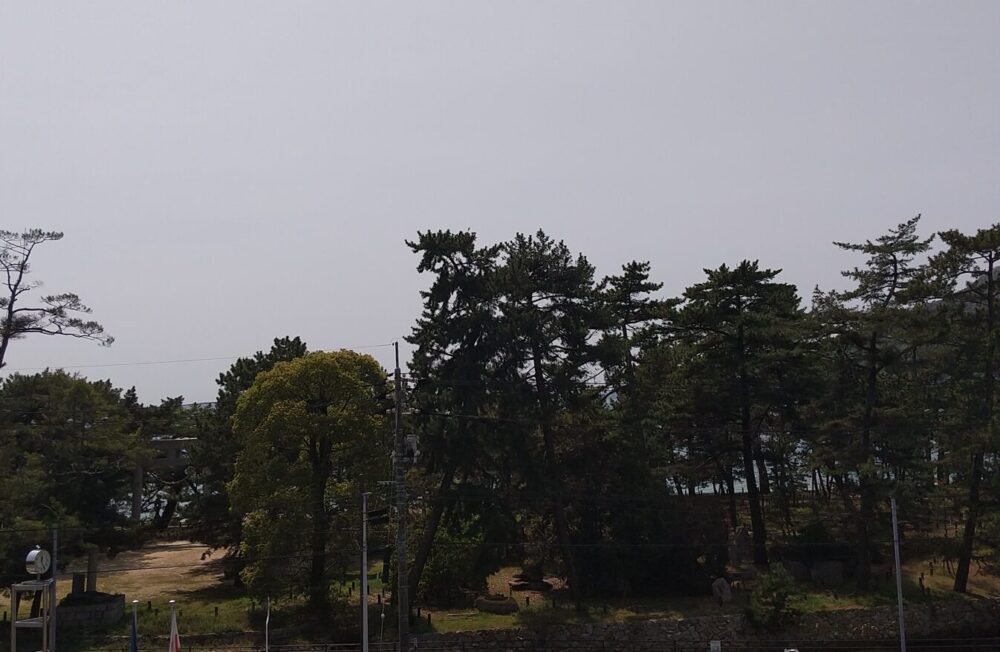 くらはし桂浜温泉館