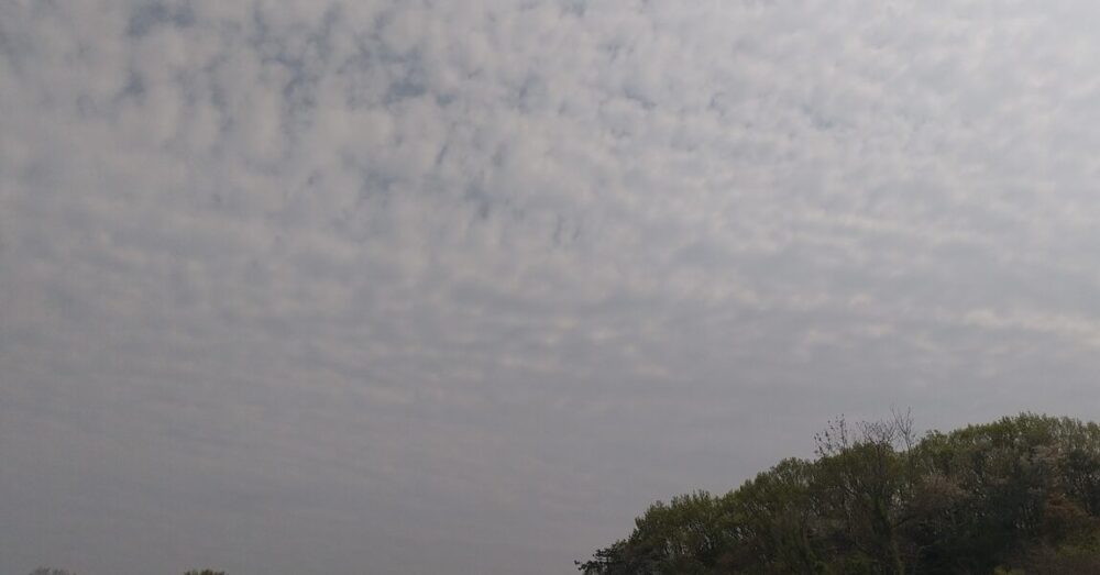 湯庵の空