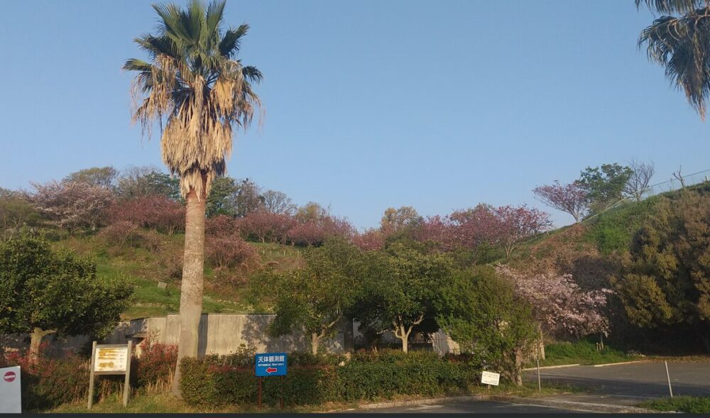 県民の浜 朝