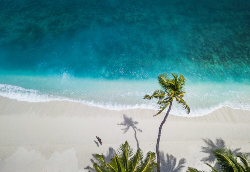 夏