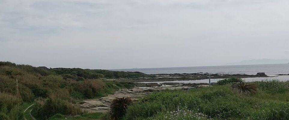 お台場 海浜庭園
