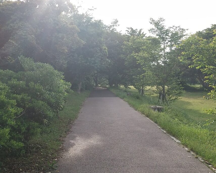 大房岬自然公園