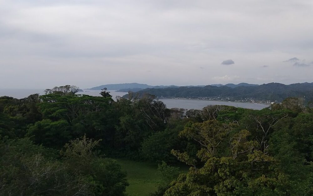 大房岬自然公園