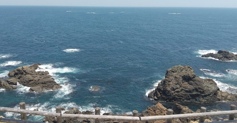 蒲生田岬