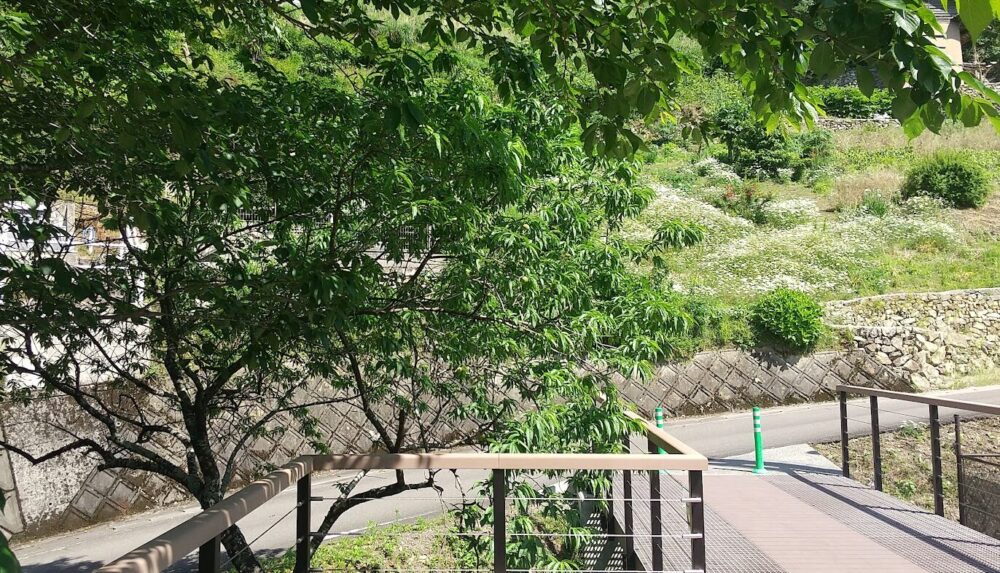 小歩危展望台