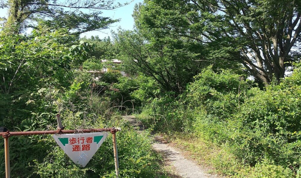 五色台展望台