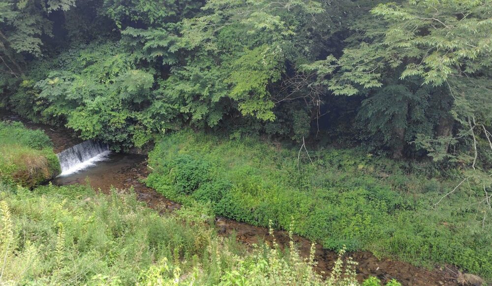 熊谷旅館 玄関横