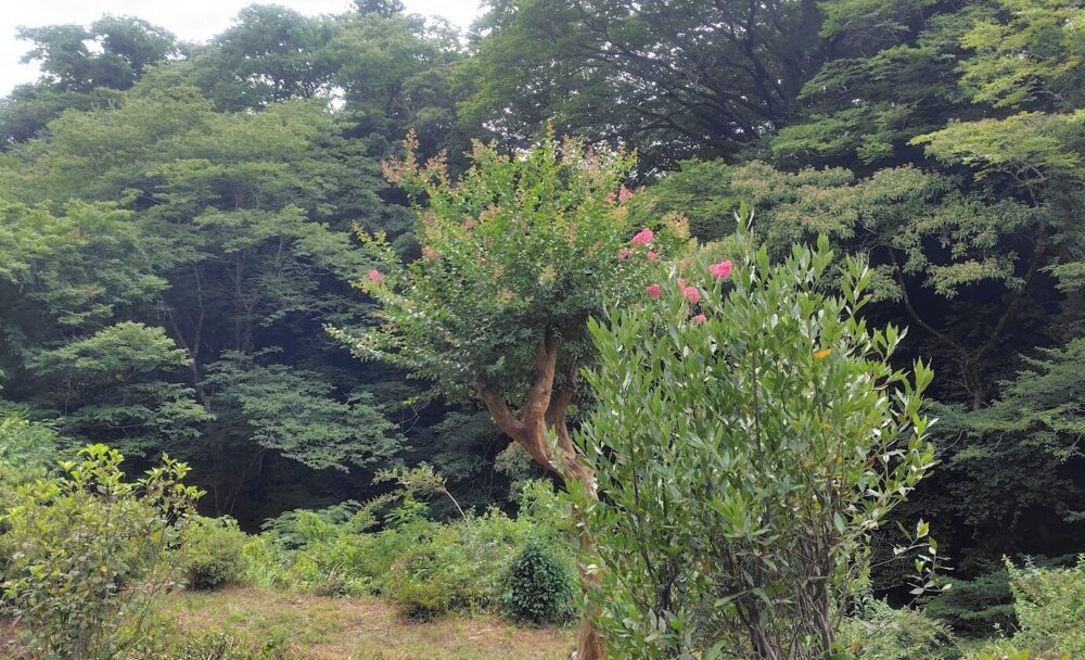 熊谷旅館 風呂からの景色