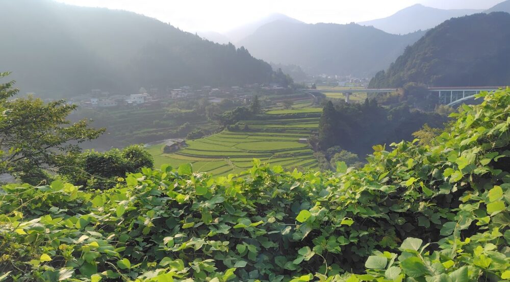 あらぎ島1