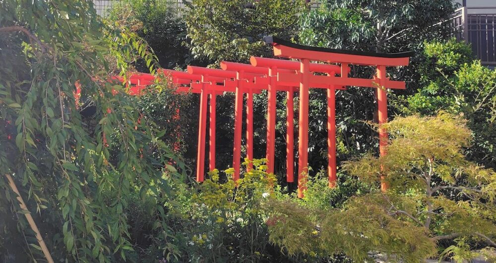 庭園3