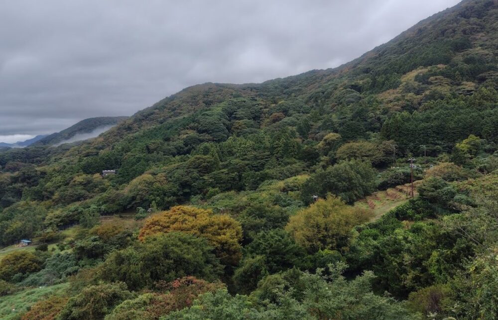 石部の棚田展望台