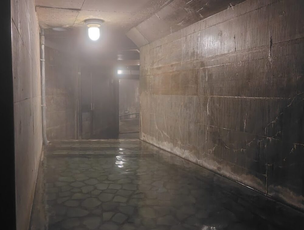 大滝温泉 天城荘