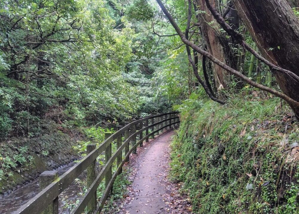 対島の滝展望台