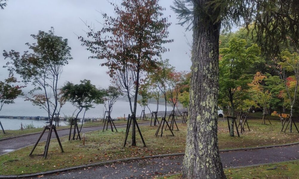 旭日丘湖畔緑地公園