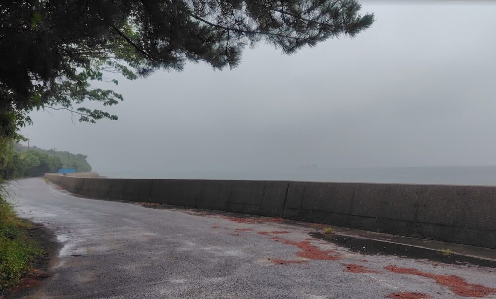 高根島西側の道