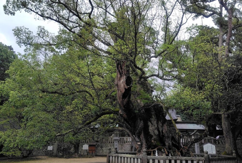 大山祇神社