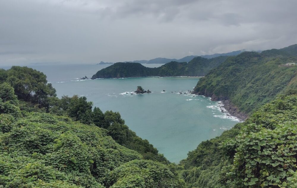 横浪半島路肩