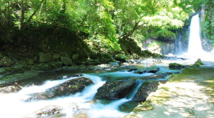 大滝温泉 天城荘