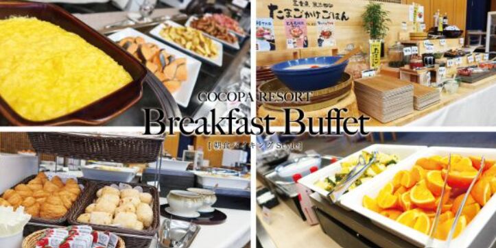 ココパ　バイキング