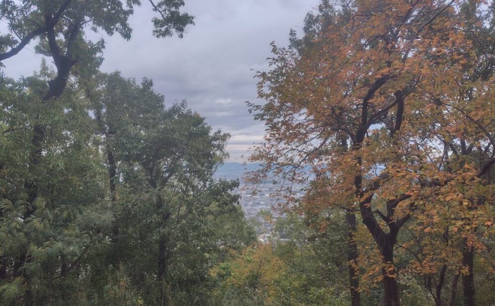 額田山展望台北