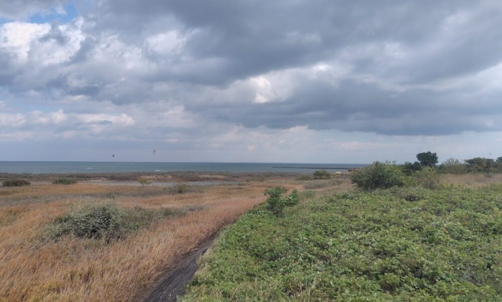 松名瀬海岸海浜公園