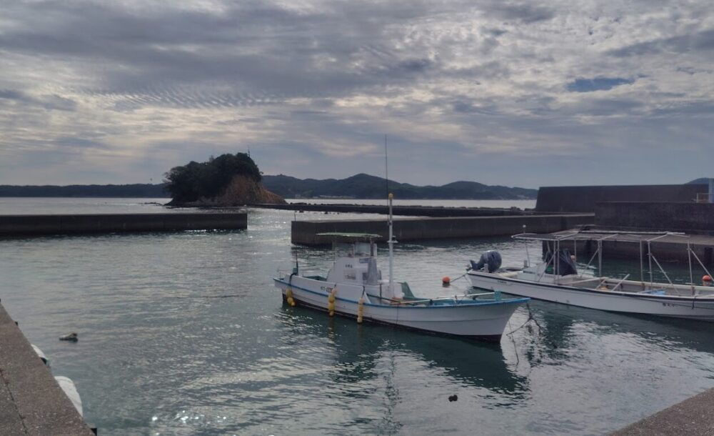 海ほおずき わんぱく磯