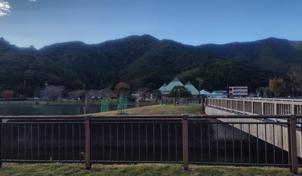 タブノキの杜広場