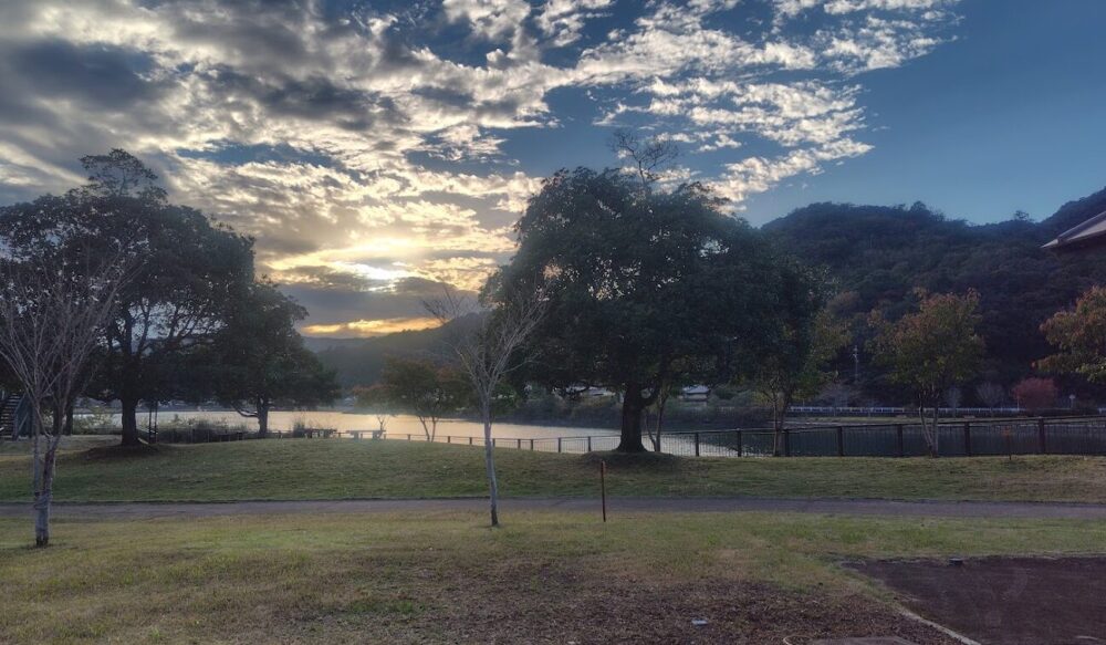 タブノキの杜広場