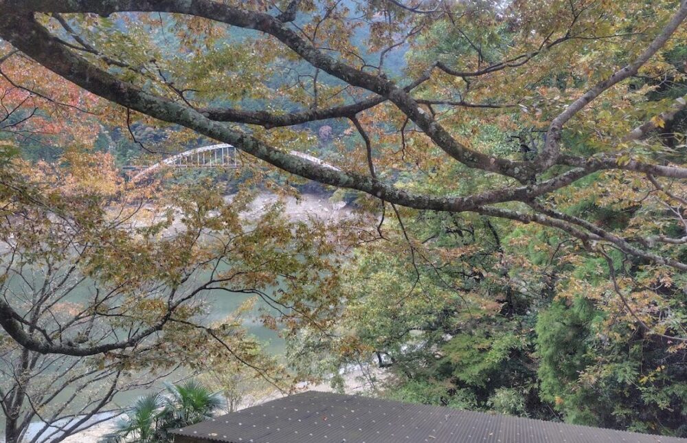 入之波温泉 山鳩湯