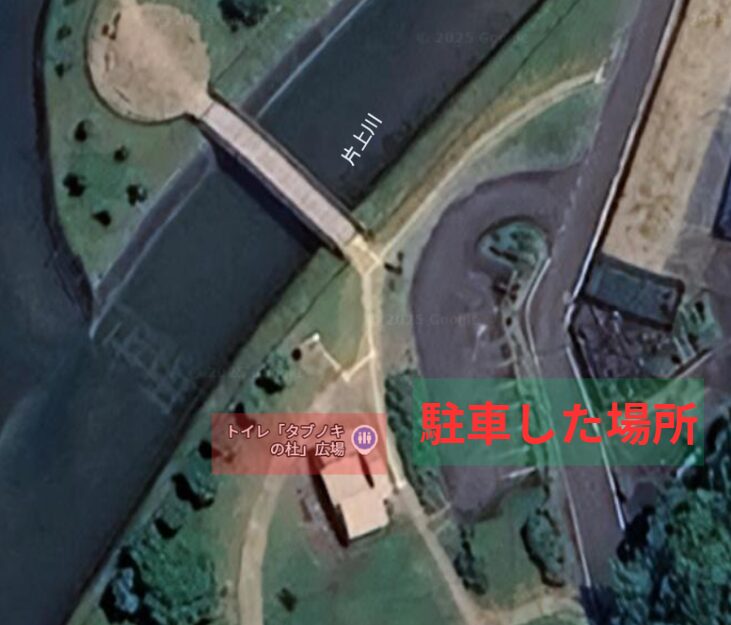 駐車場所　タブノキの杜広場