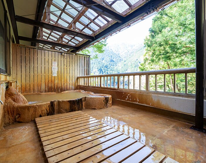 入之波温泉 山鳩湯