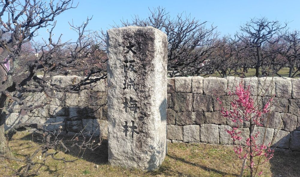 大阪城公園 梅林