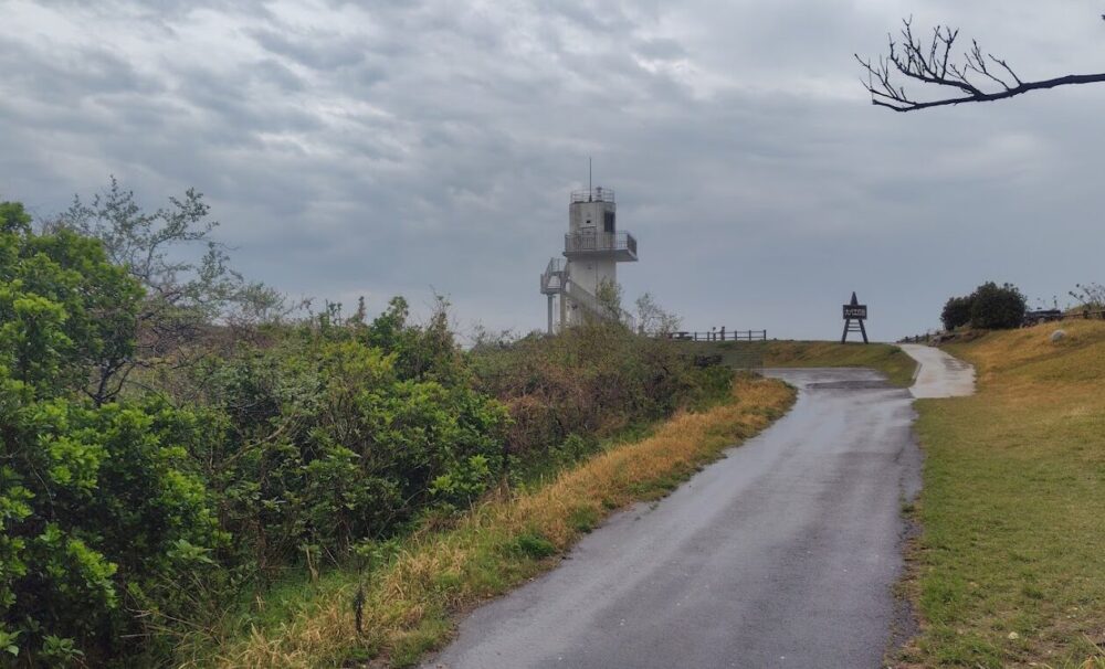 大バエ灯台