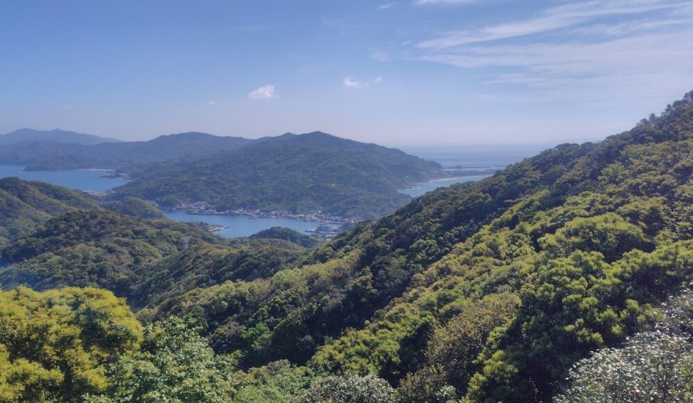 権現山展望公園