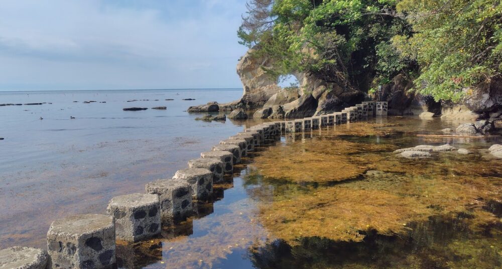 のと海洋ふれあいセンター