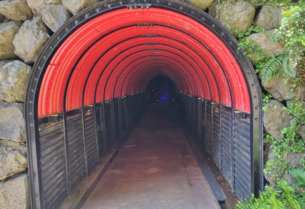 聖域の岬