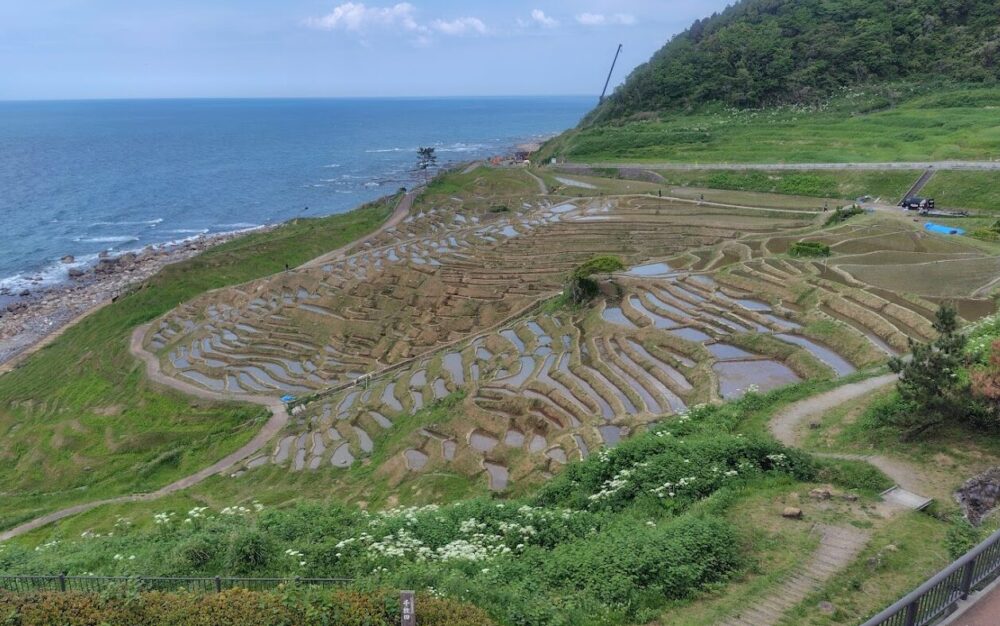白米千枚田