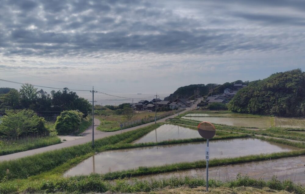 大笹波水田