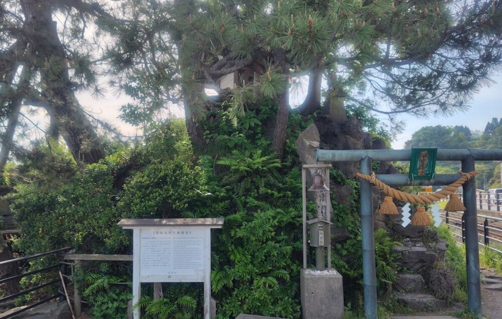 雨晴海岸