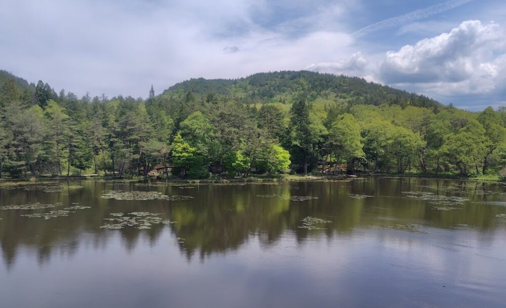 美女高原公園