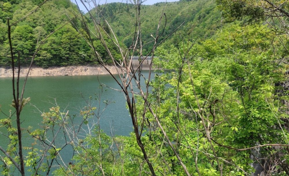 あさひふるさとの森