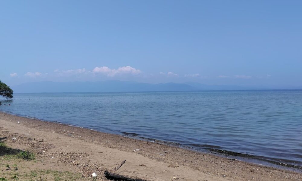 湖岸緑地 南三ツ谷