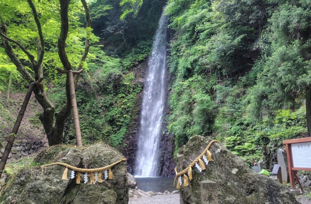 養老の滝