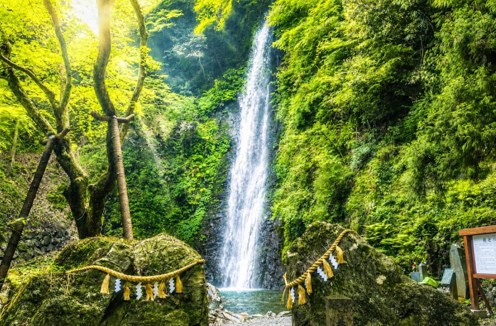 加工 養老の滝