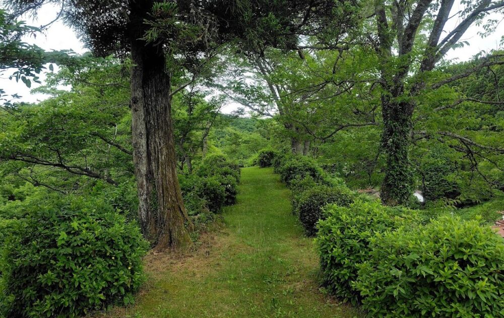 船林神社